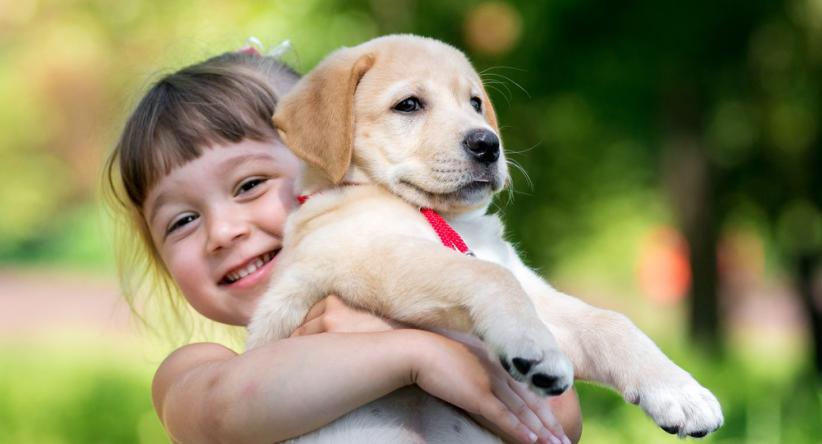 Adivinhas de animais: 20 e suas respostas