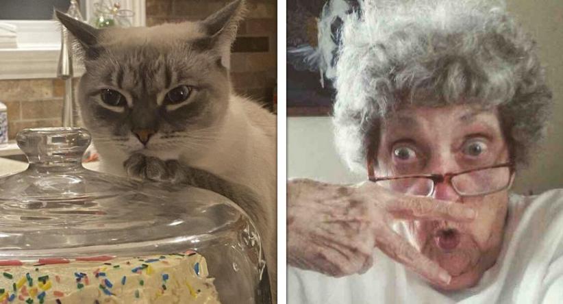 15 Fotos de momentos que acabaram sendo mais engraçados do q