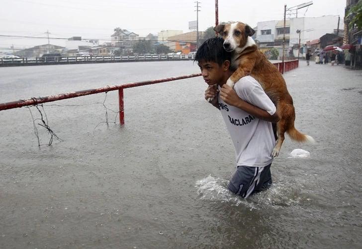 15 Fotos que nos fazem acreditar que o bem prevalece