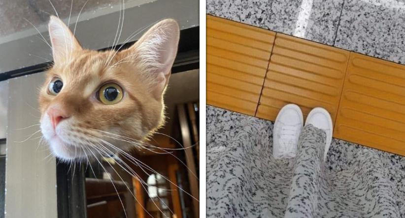 15 Fotos que provam que o nosso cérebro cai facilmente em pe