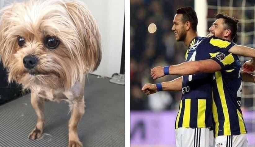 16 Fotos que vão dar um “tilt” no seu cérebro