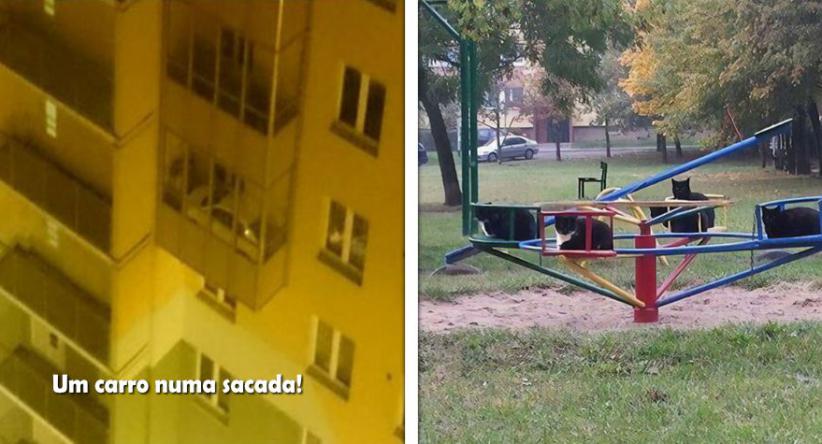16 Momentos tão “WTF” que só mesmo uma foto pra fazer alguém