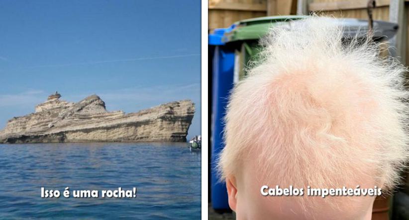 17 Coisas comuns que se tornaram excêntricas por obra da nat