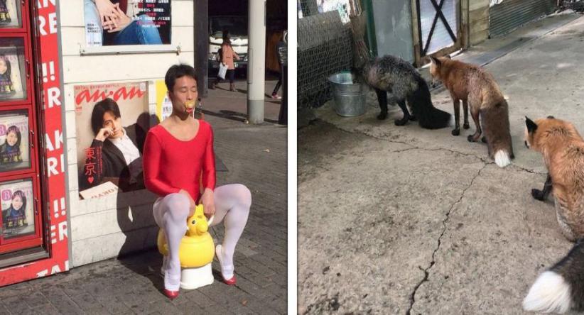 18 Fotos provando que o Japão não é qualquer coisa, menos en