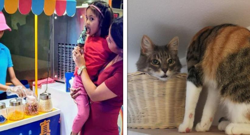 18 Imagens confusas perfeitas para embaralhar o cérebro de q