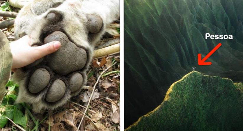 18 Interessantes comparações mostrando melhor qual o verdade