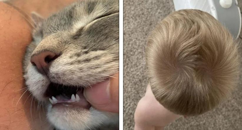 19 Pessoas e animais com características fascinantes que os 
