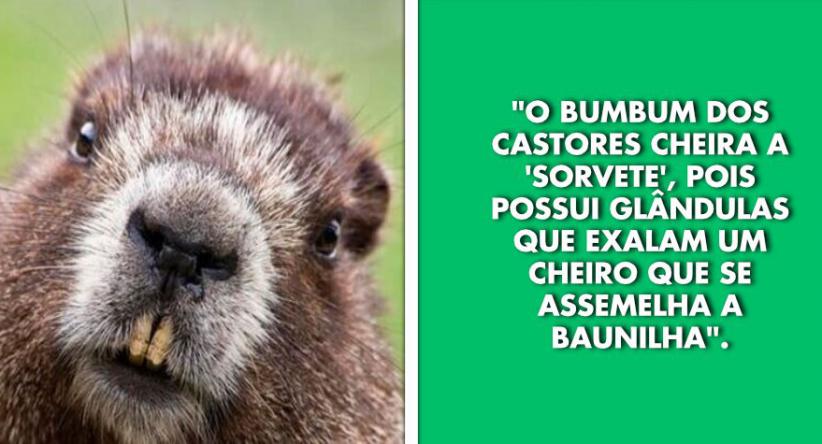 19 Vezes em que as pessoas compartilharam fatos pouco conhec