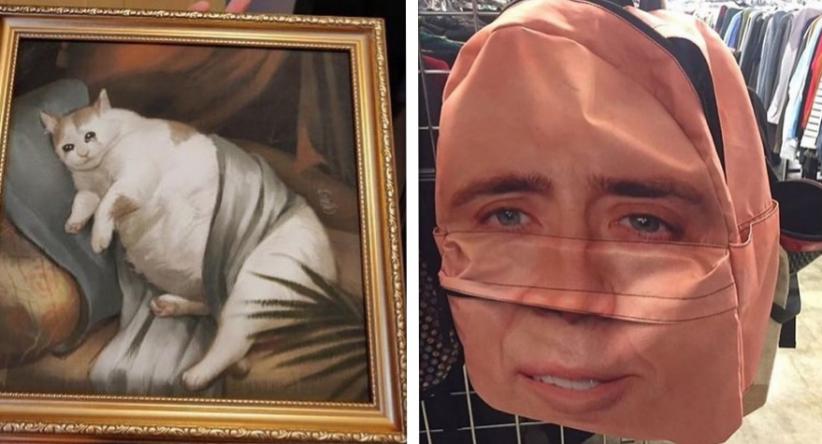 19 Vezes em que as pessoas se depararam com coisas bizarras 