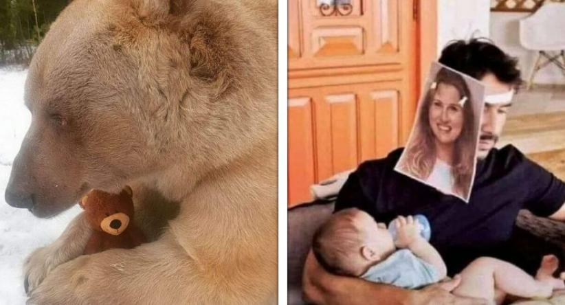 20+ Fotos sem contexto que ficam cada vez mais estranhas con