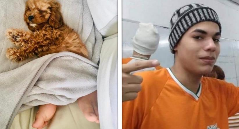 20 Fotos tão confusas que é difícil mesmo não se confundir
