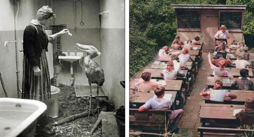 21 Fotos que mostram uma parte curiosa e pouco mostrada do n