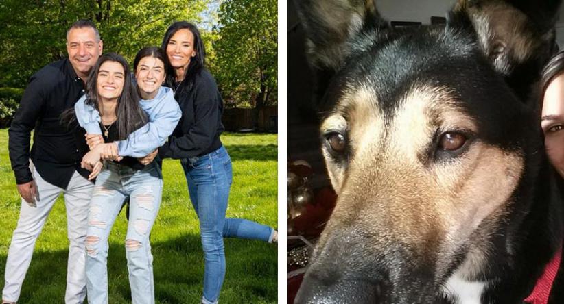 22 Fotos tiradas em momentos confusos, mas perfeitos para co