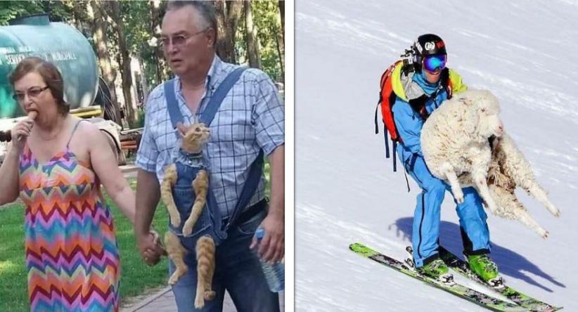 22 Imagens com “muitas coisas acontecendo” que ficam ainda m