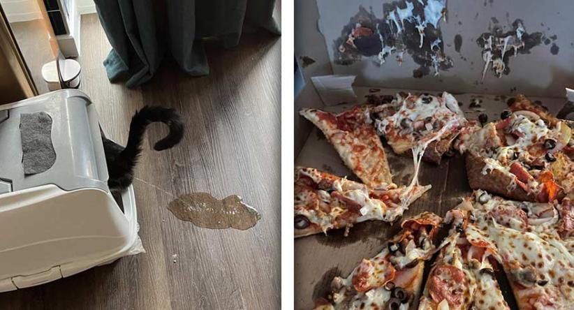 22 Situações capazes de estressar até as pessoas mais calmas