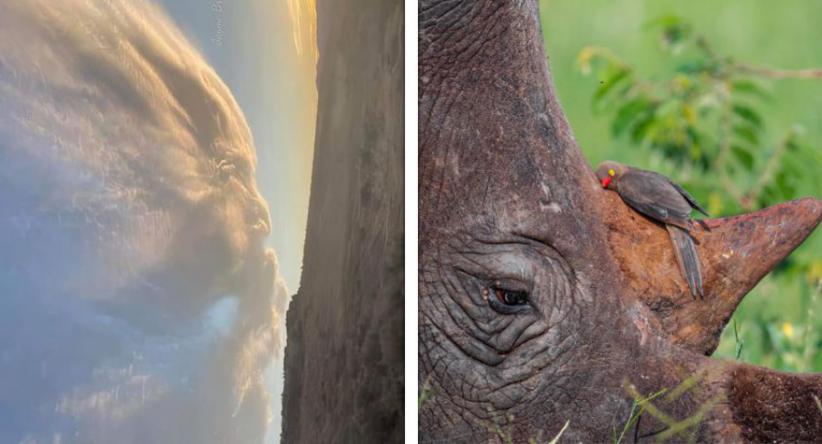 22 Vezes em que as pessoas encontraram coisas estranhamente 