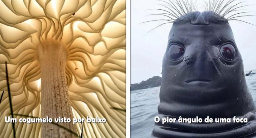 23 Ângulos alternativos de fotos que mostram o mundo de uma 