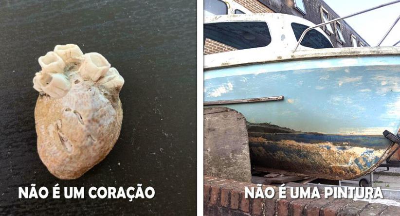 23 Vezes em que as pessoas tiveram que olhar duas vezes para