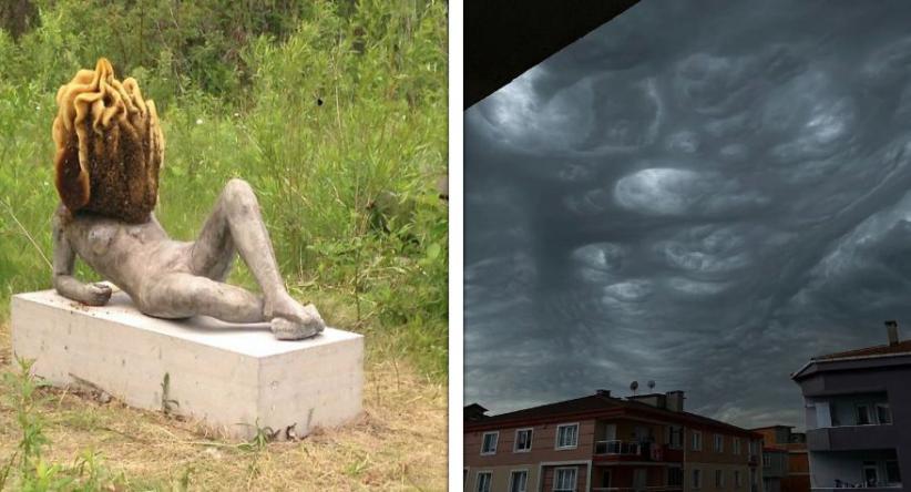 23 Vezes em que coisas normais tornaram-se absolutamente ass