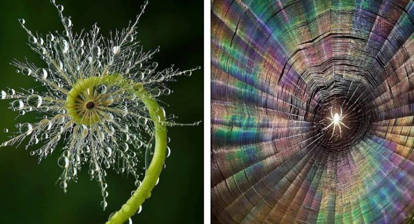 24 Imagens que mostram alguns dos milagres incríveis e assus