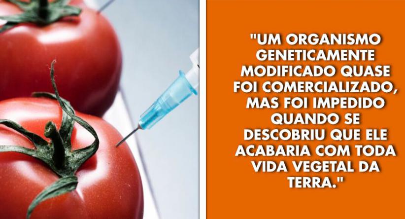 24 Trágicos acontecimentos mundiais que poderiam ter mudado 