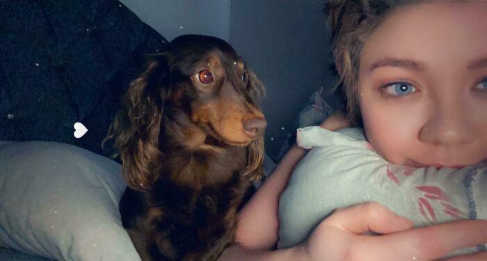 25 Animais que não conseguem esconder o amor que sentem pelo