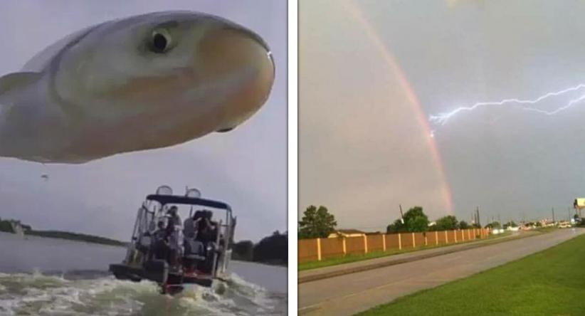 26 Pessoas que fotografaram momentos tão raros que parecem i