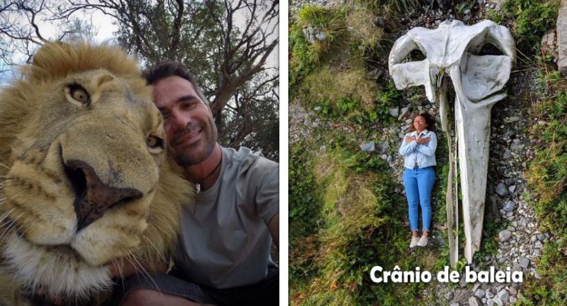 30 Imagens de comparações que impactam e ajudam a ampliar a 