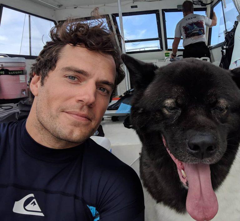 Henry Cavill e seu cachorro provam que o amor incondicional 