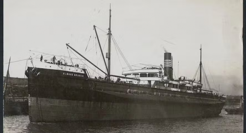 O naufrágio comprado pelo Facebook: a história de Dom Robins