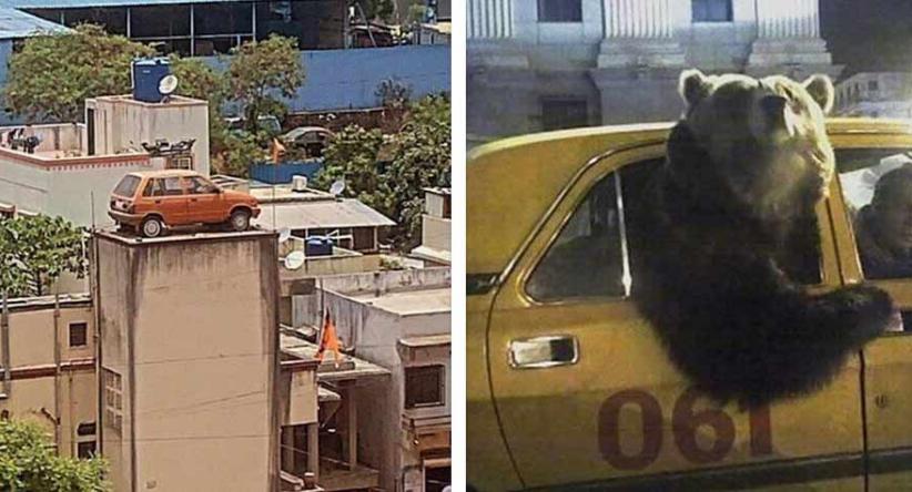 Parte 2 | 20 Imagens provando que algumas coisas podem parec