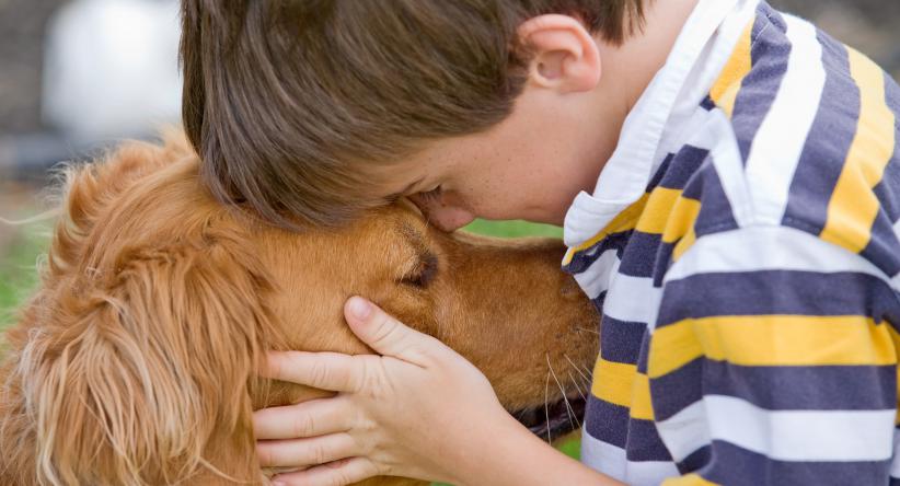 Os melhores cães para crianças e família