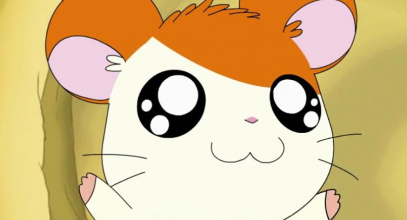 Hamtaro