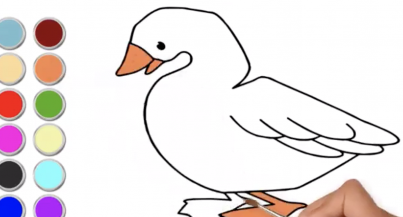 Colorindo páginas Desenho Como Desenhar Ganso
