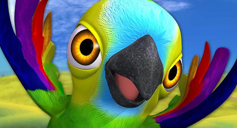 O papagaio Pepe!